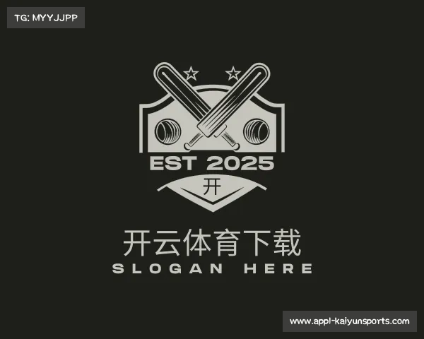 介绍开云体育下载